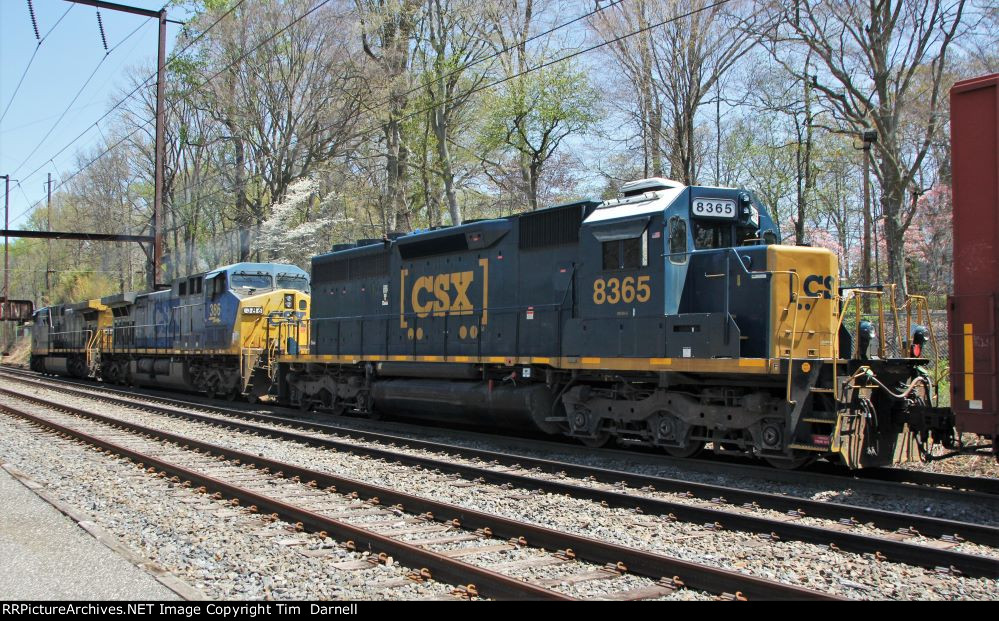 CSX 8365 on Q404